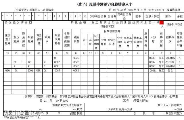 个人所得税申报表